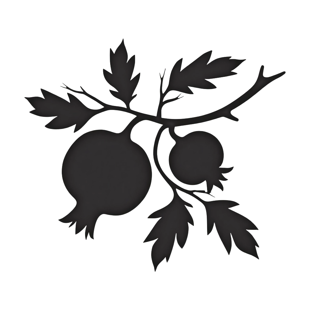 Pomegranate Silhouette